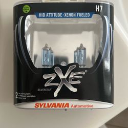 Headlight Bulbs