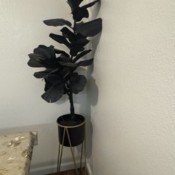 Black Artificial Plant With 🏺 $30