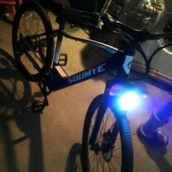 Hi I'm Sending My Electric Bike