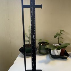 Toilet paper standing