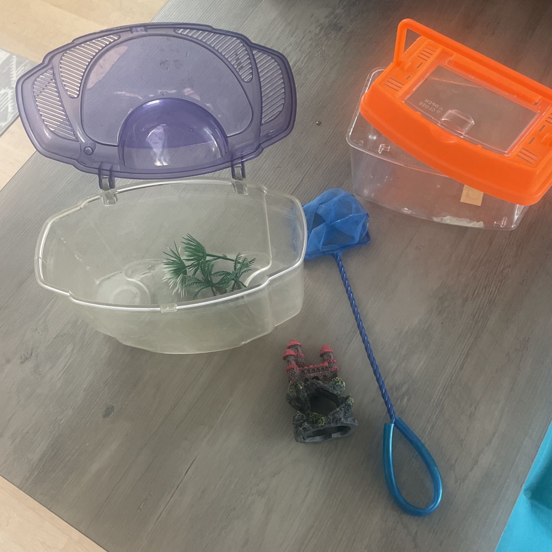 Small Fish Tanks For Beta Fish