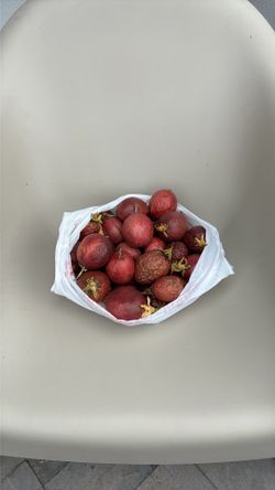Passion Fruit (5# bag)