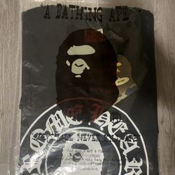 Bape x Chrome Hearts 