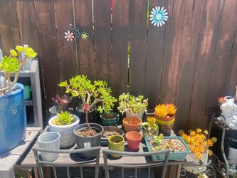 $5 each or $20 for all summer sale