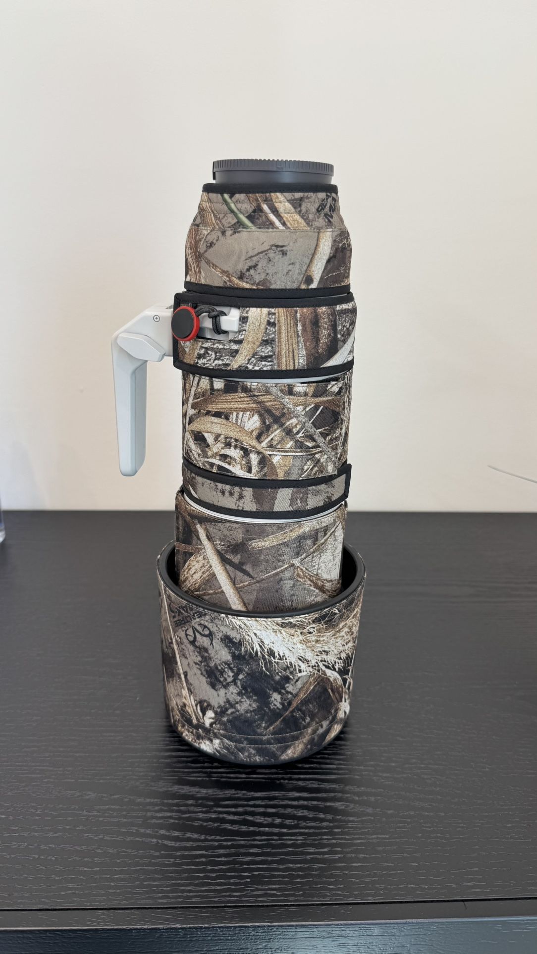 Sony FE 200-600mm F5.6-6.3 Super Telephoto Zoom Lens 