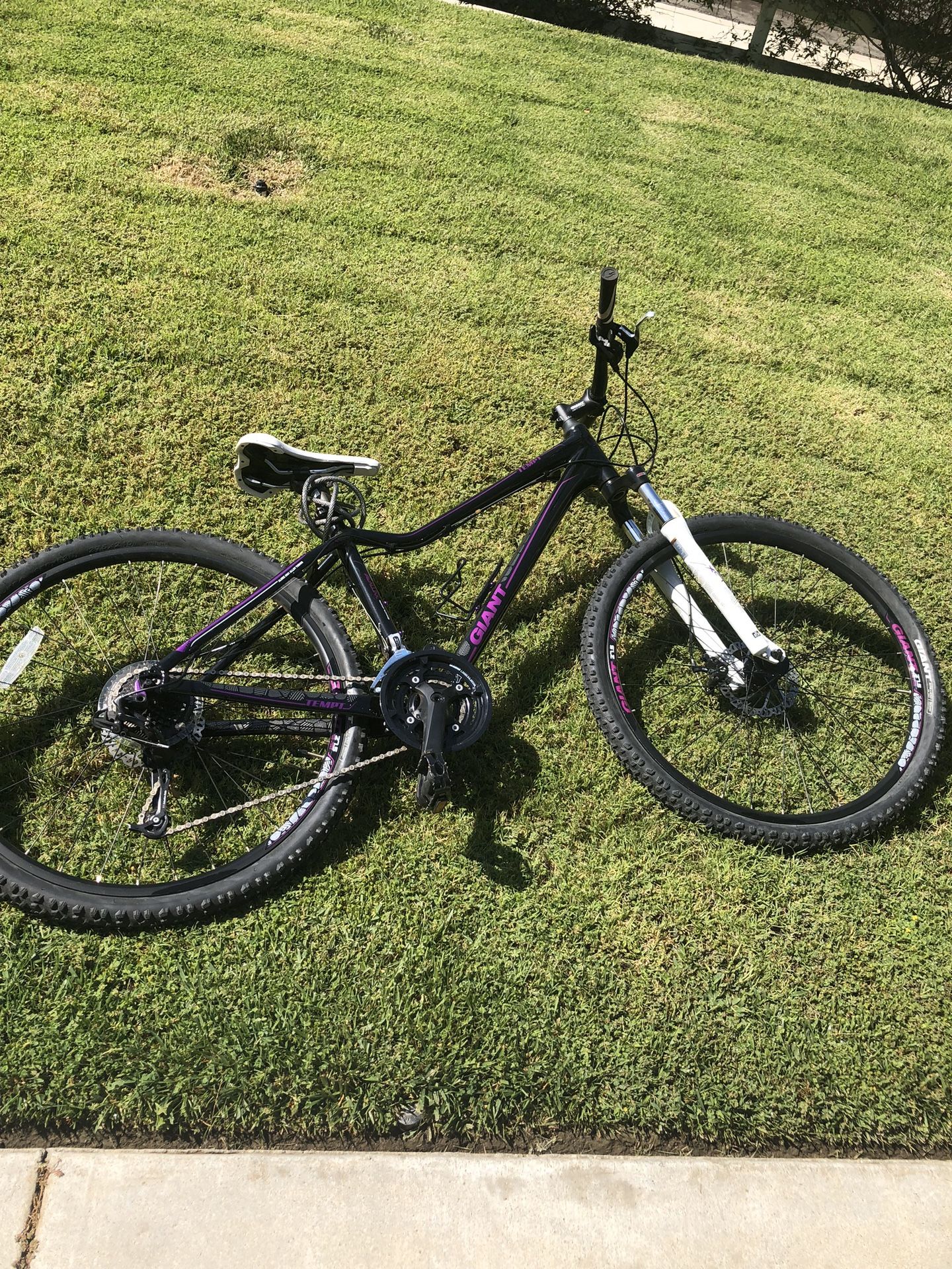 Giant Ladies Mountain Bike