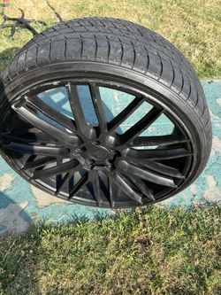 Savini Black Di Forza