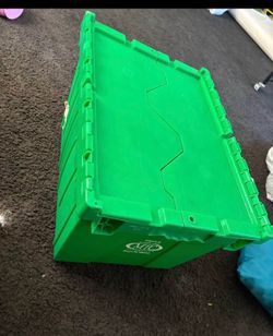 Green box