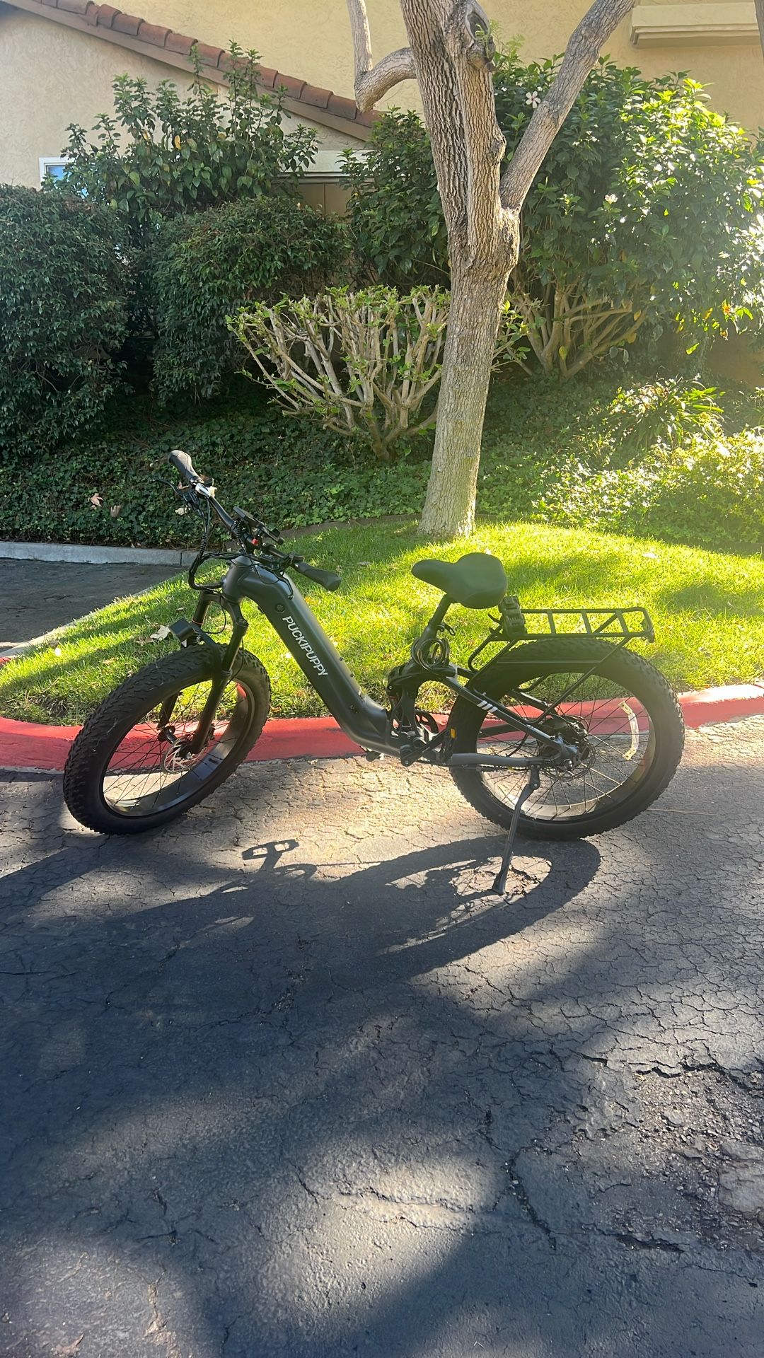 Puckipuppy Boxer ST (Step Thru) E-Bike