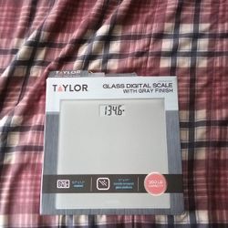 Taylor Glass Digital Scale