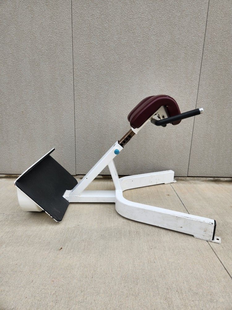 Precor Icarian 45 Degree Back Extension