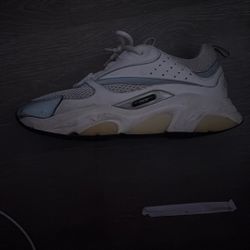 Dior B22 