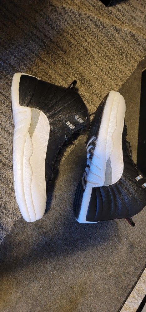 jordan 12 playoffs