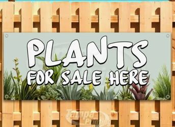 Huge plant sale