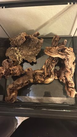 Reptile Decorations
