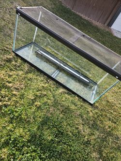 Reptile Tank
