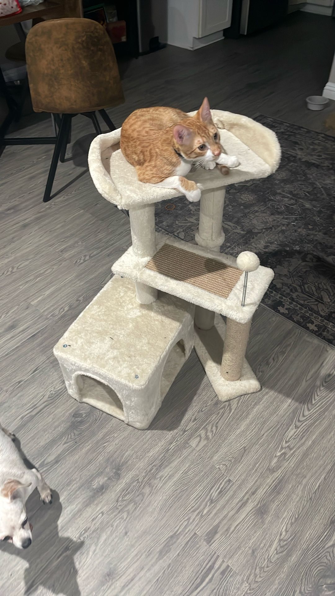 Kitten Tower (cat Not Included) for Sale in Highland, CA - OfferUp