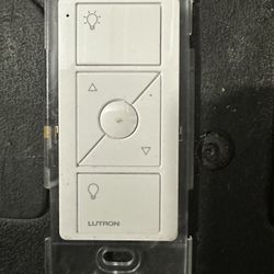Lutron Wireless Lighting Controls 