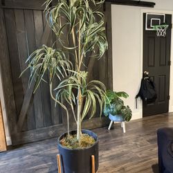 Tall Faux Tree
