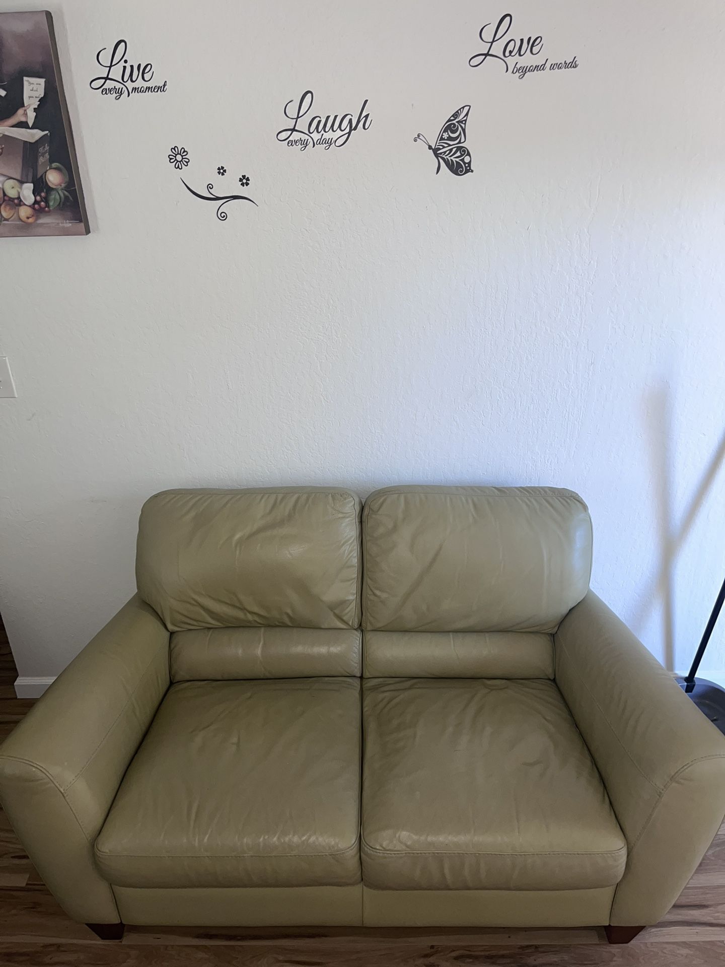 Love Seat Couch