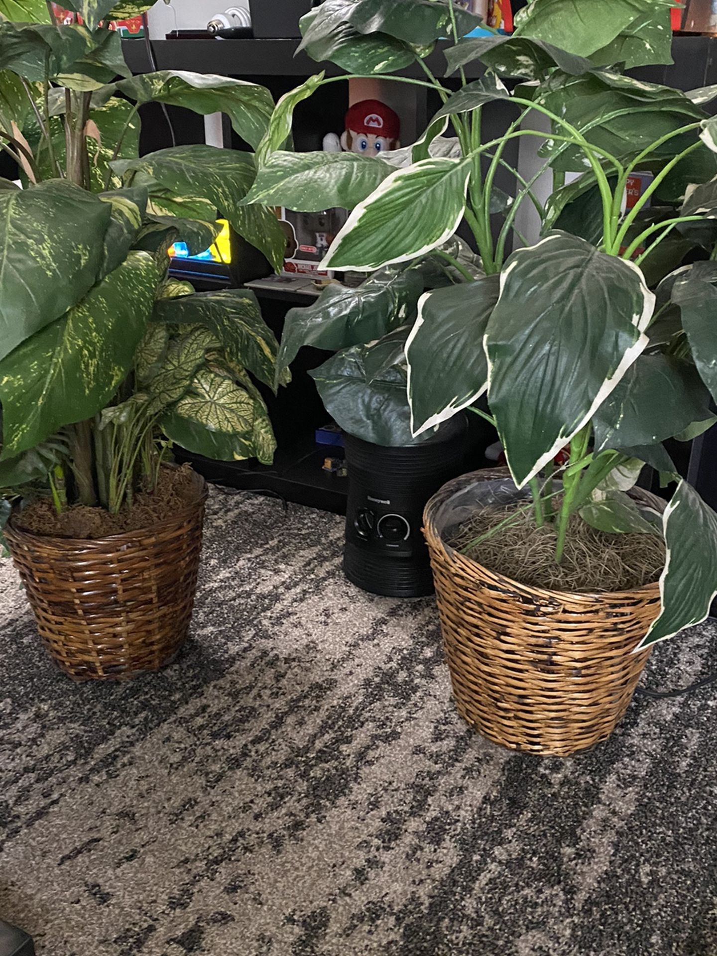 2 Faux Fake Plants $25ea  or 2 for $45