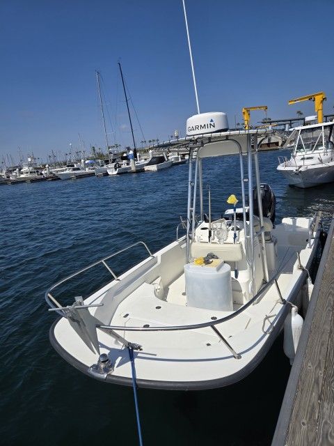 2018 Boston Whaler Montauk 17