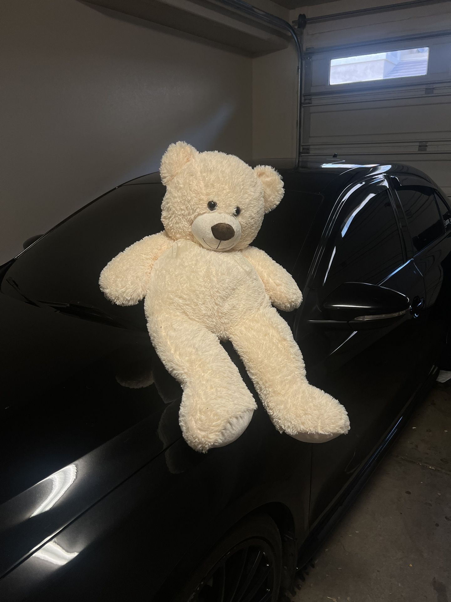 Teddy Bear