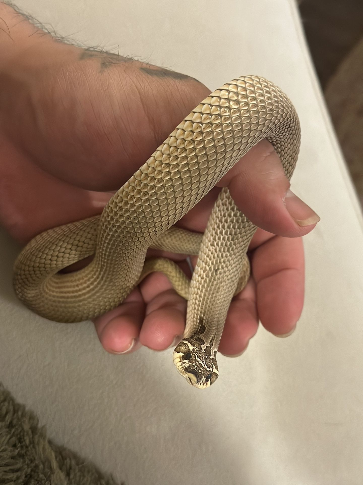 Enclosure