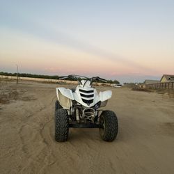 Raptor 80 