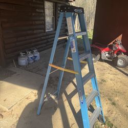 6FT Fiberglass Ladder