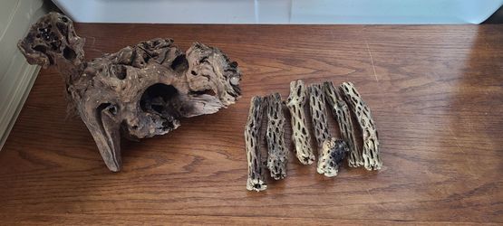 Driftwood and Cholla Wood Lot