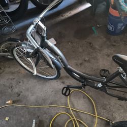 Schwinn Tree Wheel Bike 