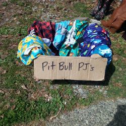 Pitbull Pjs