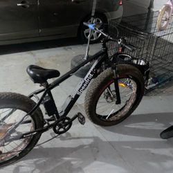 Electric Bike