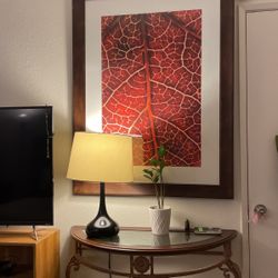 Red Leaf Picture With Frame