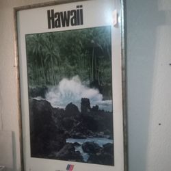Picture Hawaii
