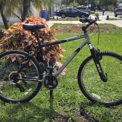 Lightweight  Iron Horse Maverick Mountain Bike