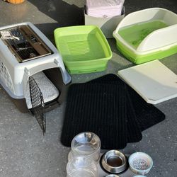 Cat Supplies