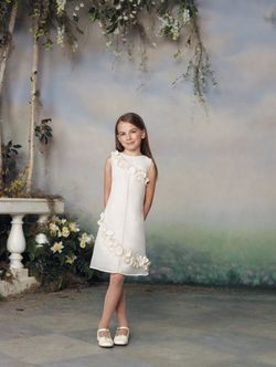 New With Tags Size 8 Flower Girl Dress $25