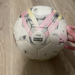 FIFA Quality Pro Soccer Ball