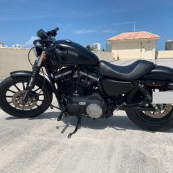 2013 Sportster Iron 883