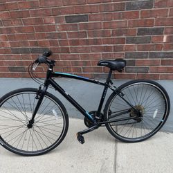 Raleigh Bike