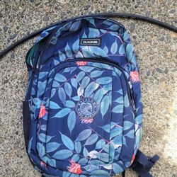 Dakine Backpack
