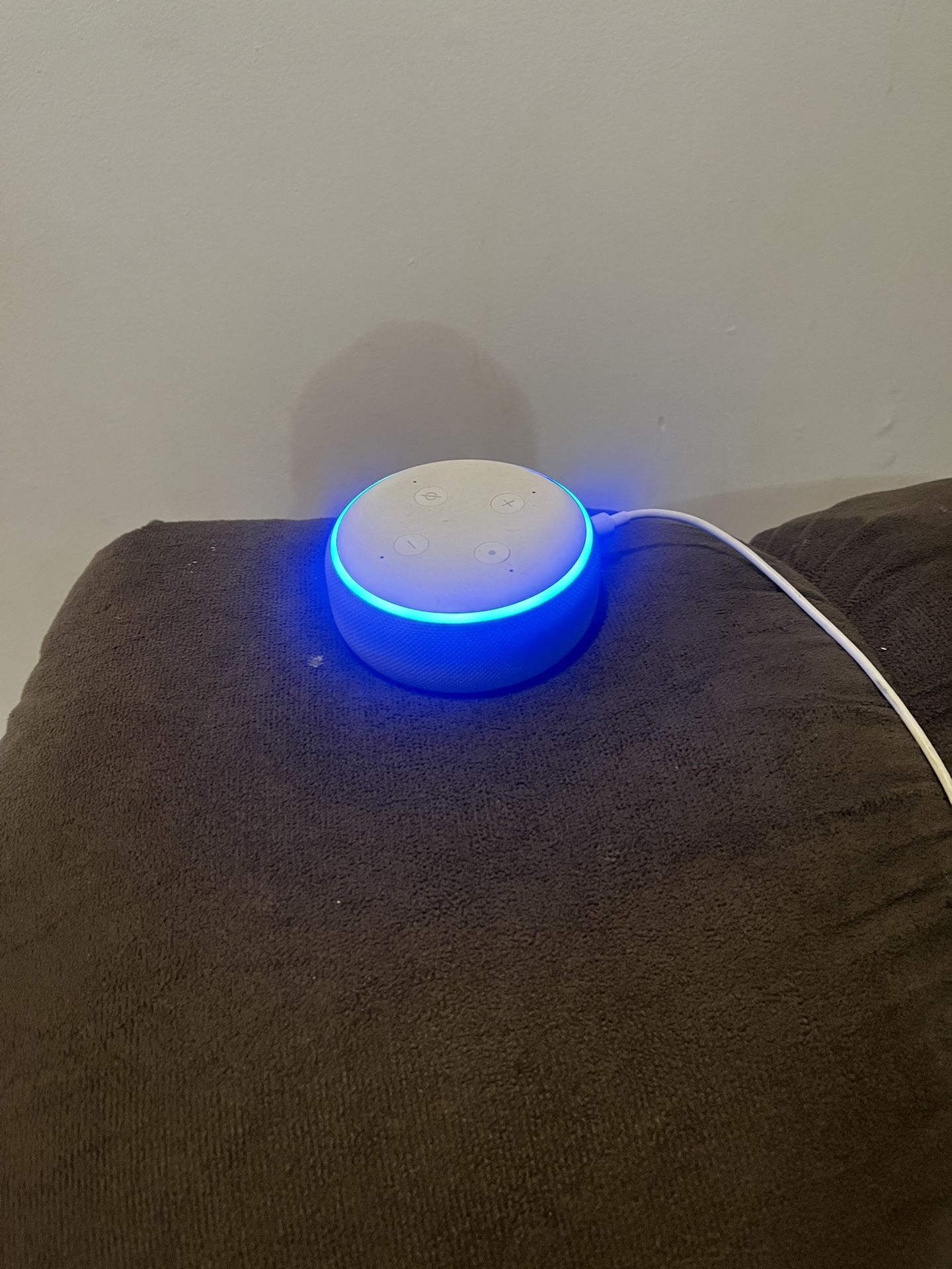Amazon Echo Speakers