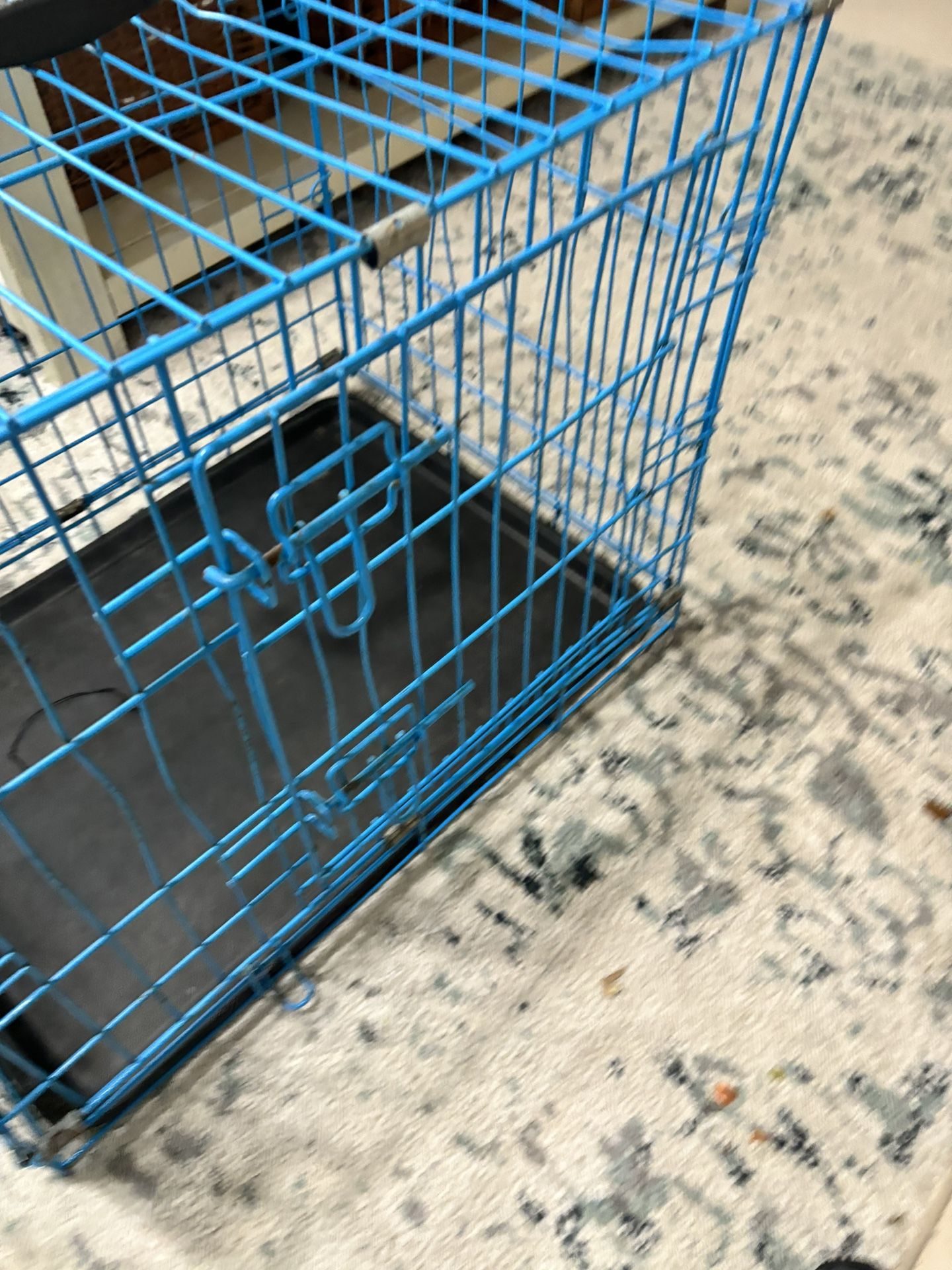 Dog Kennel