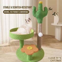Cat Toy
