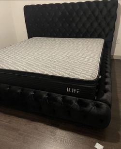 NEW Black Platform Bed Frame Queen and King Size