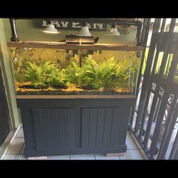 55 Gallon Fish Tank With Stand And Lights 