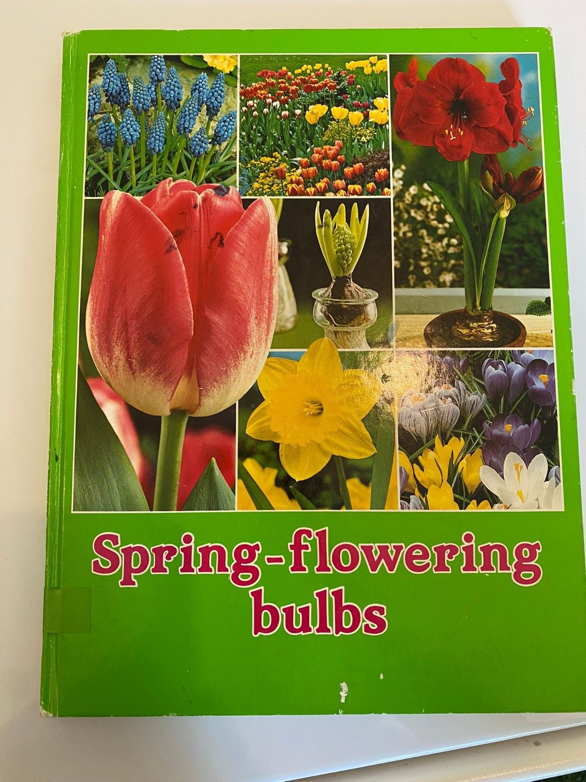 Spring-Flowering Bulbs