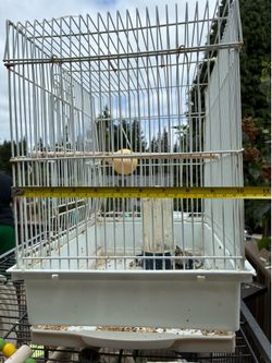 2 Birdcage’s